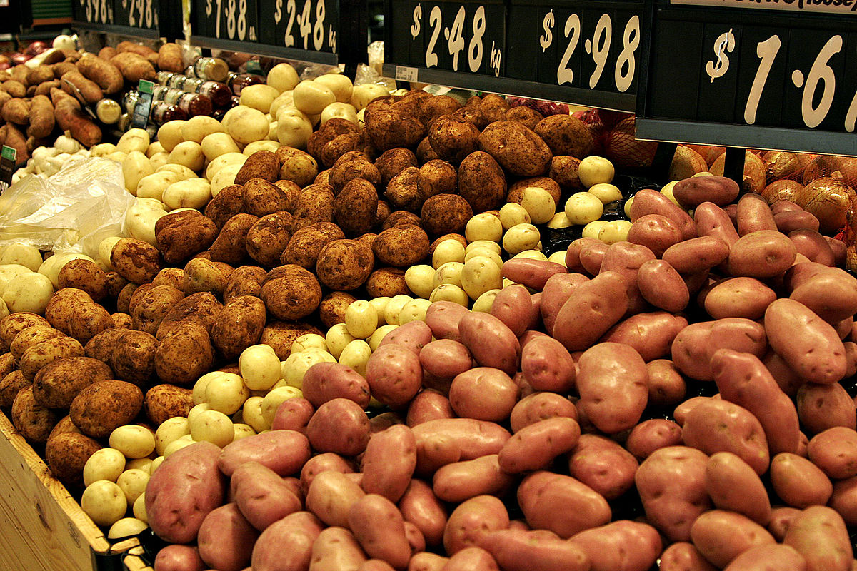 Potato cultivation in india pdf