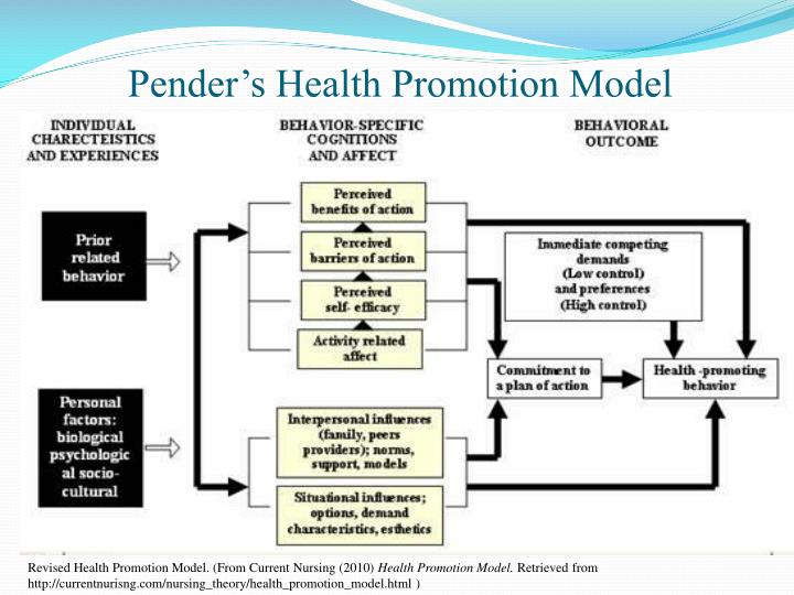 Community health nursing theories and models pdf