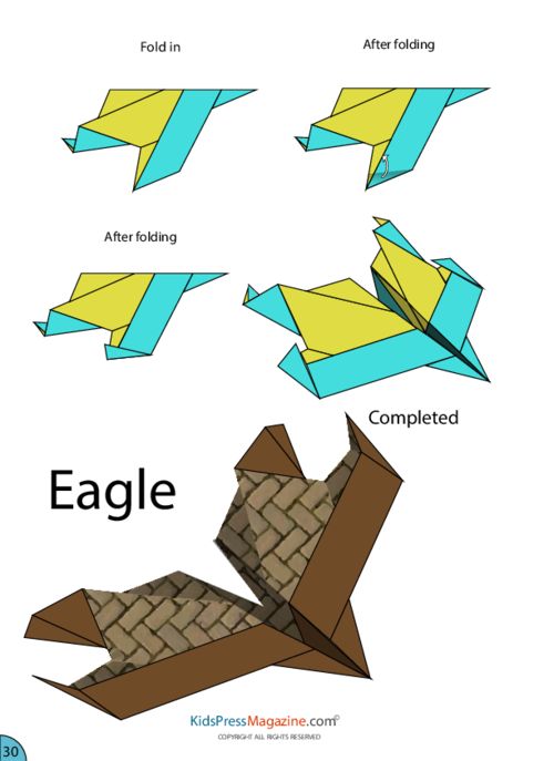 simple instructions for folding a paper plane