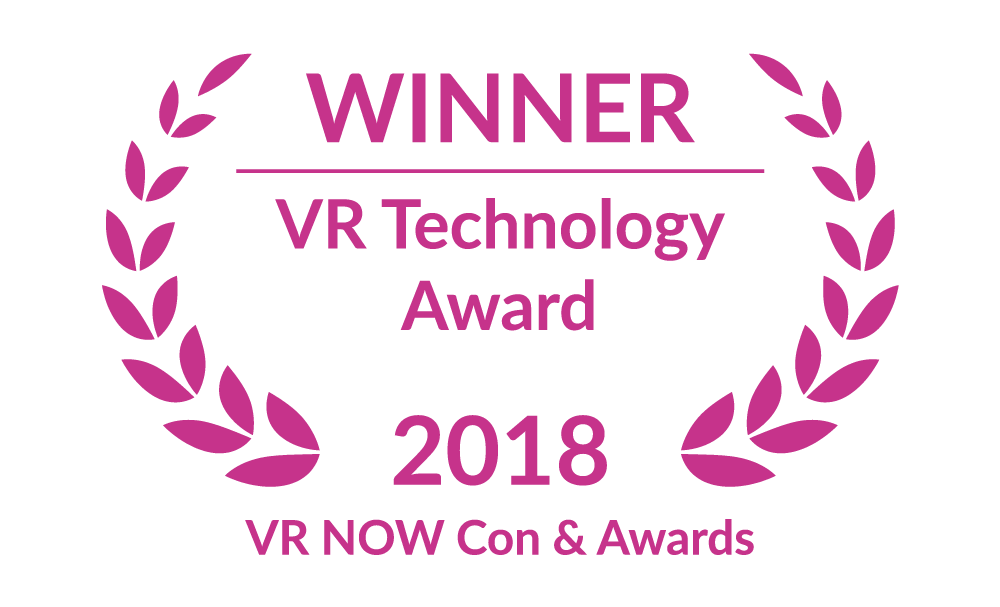 Outstanding achievement in video gaming technology and applications winners