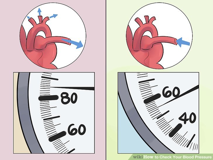 instructions on how to take blood pressure while exercising