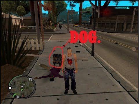 Gta san andreas how to get a dog