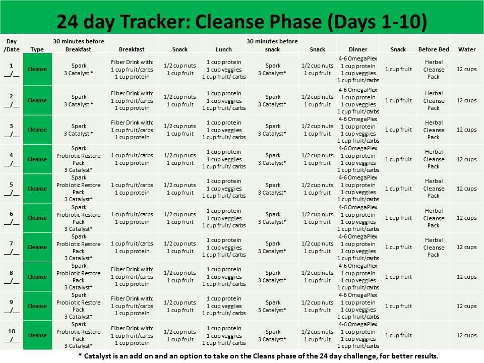 Beyond diet 9 day cleanse pdf