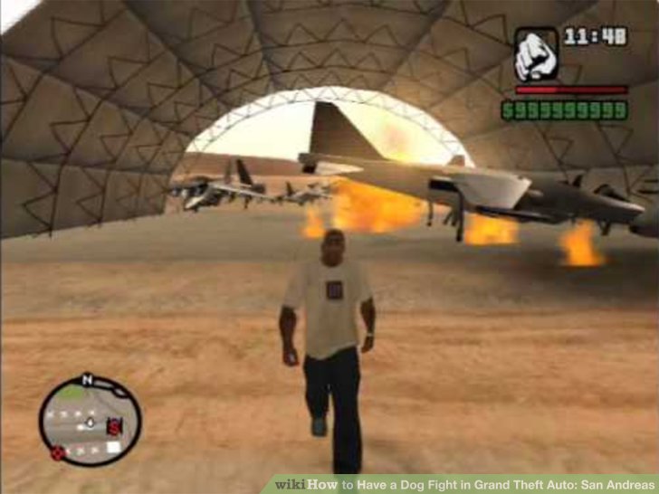 Gta san andreas how to get a dog