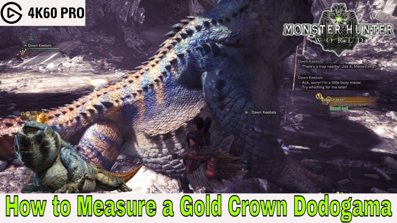Monster hunter 4 how to get gold crown