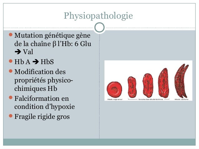 Physiopathologie de la pneumonie pdf