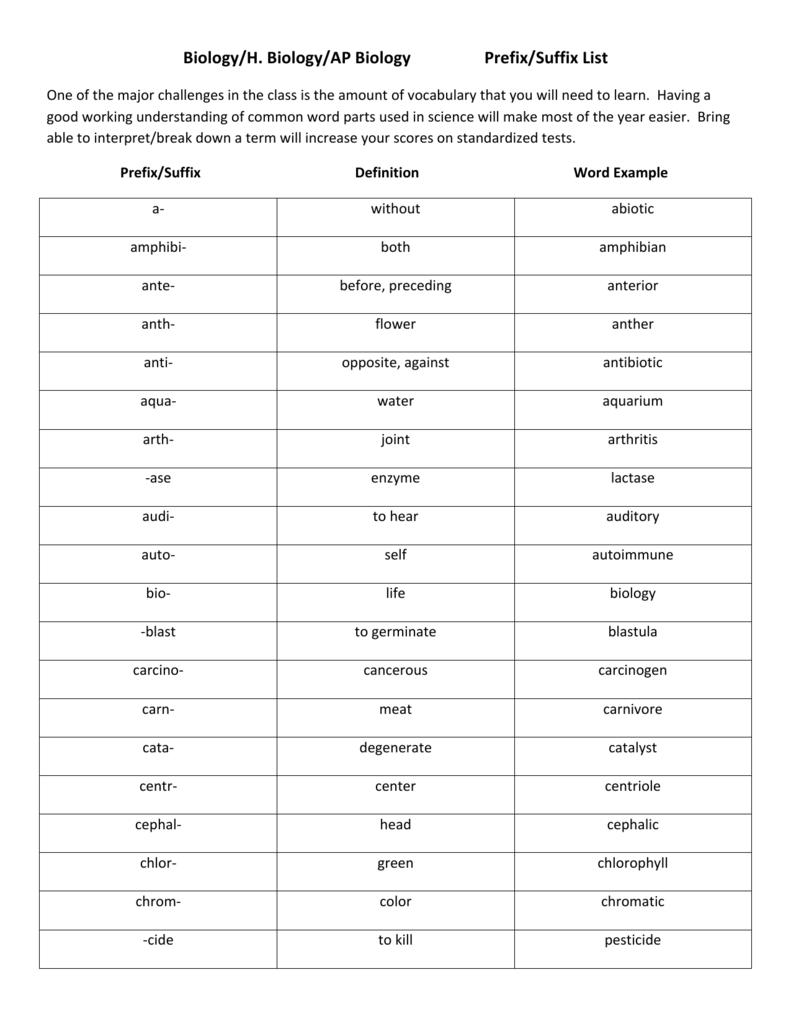 Prefix root suffix list pdf