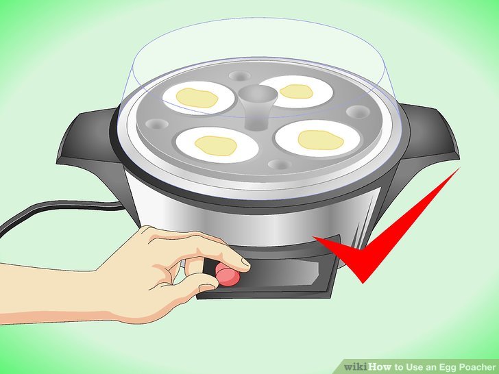 trendyshack egg poacher instructions