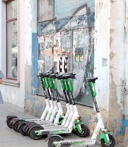 volpam sp06 electric scooter manual
