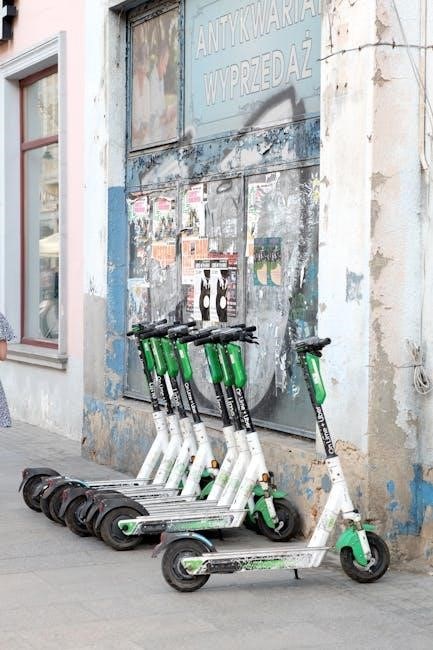volpam sp06 electric scooter manual