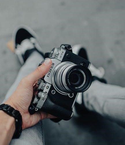 nikon d3300 manual